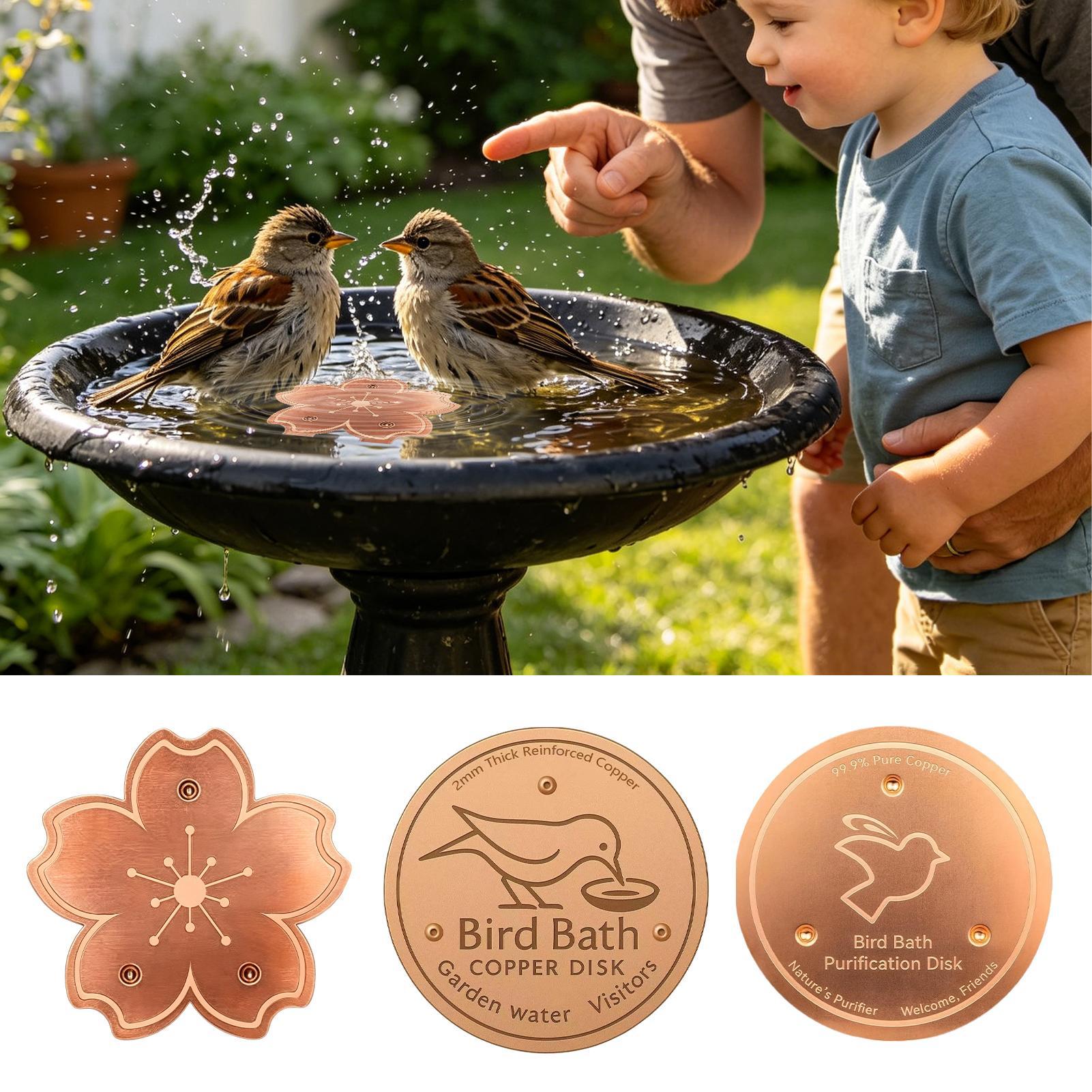 Plaque de purification en cuiv - Watches & Jewelry Lvmh avis et prix